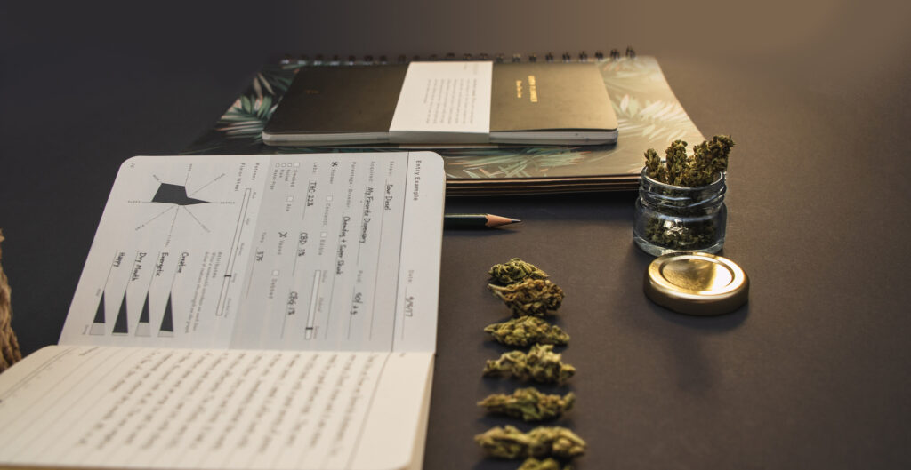 cannabis business plan